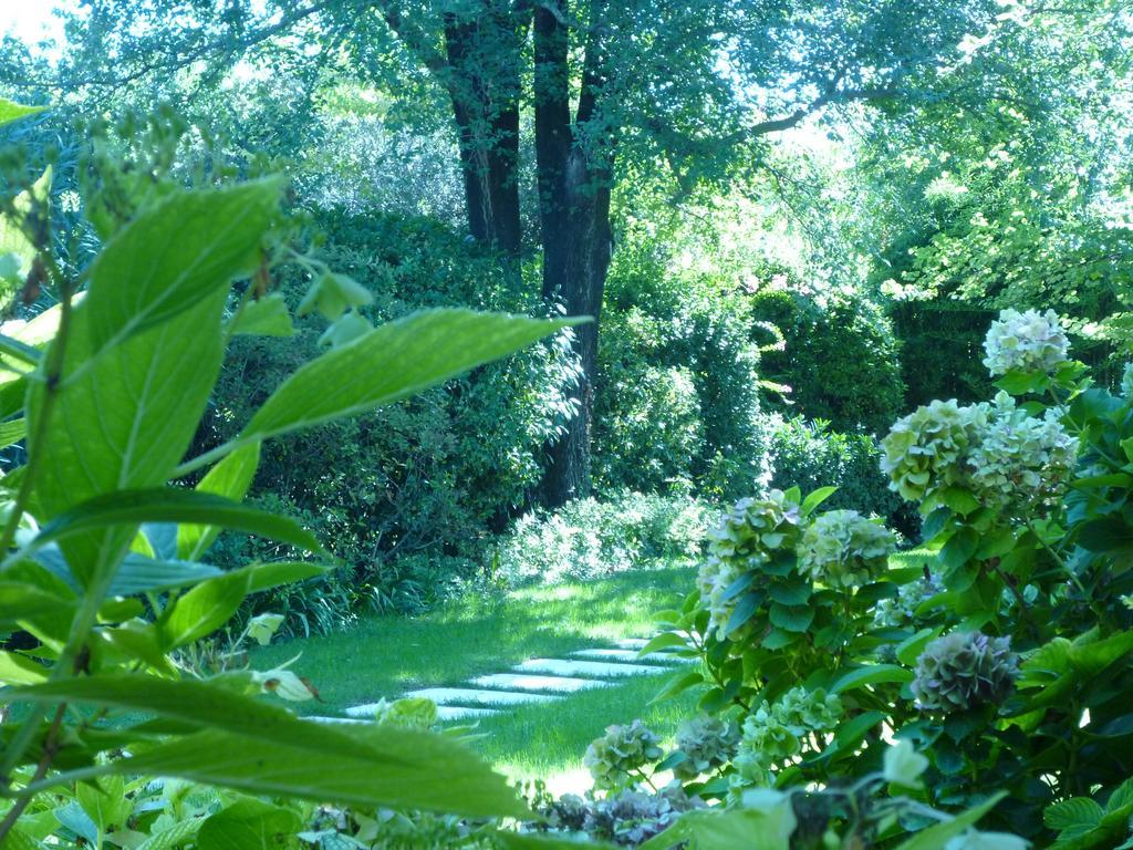 B&B Villa Dei Pini Domegliara Kültér fotó